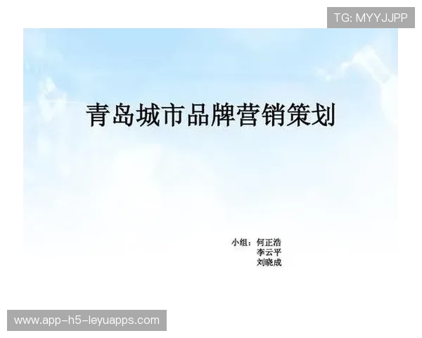 综合赛事品牌建设及推广策略案例(371 )